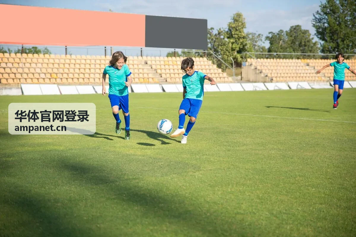 华体官网登录后查看场馆与场次安排