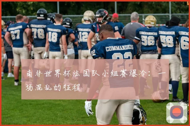 南非世界杯法国队小组赛爆冷：一场混乱的征程