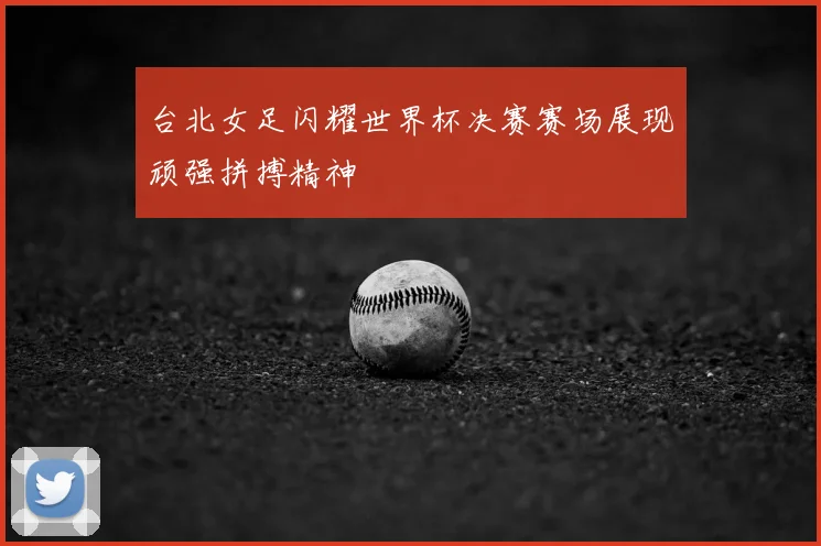 台北女足闪耀世界杯决赛赛场展现顽强拼搏精神