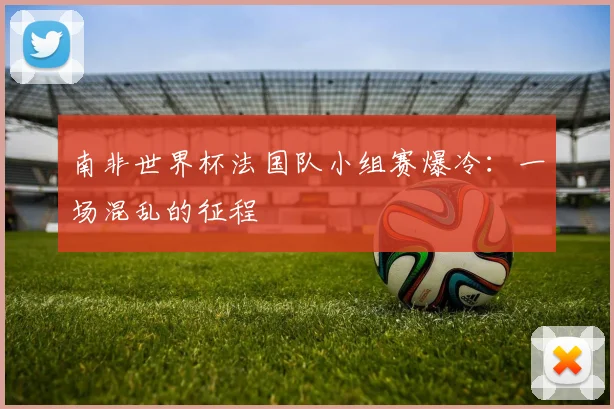 南非世界杯法国队小组赛爆冷：一场混乱的征程