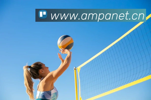 电子娱乐pg平台免费入口下载发展历程